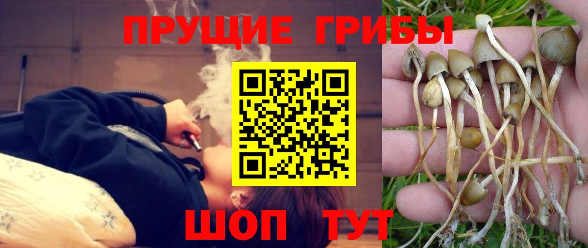 Псилоцибиновые грибы Magic Shrooms Джанкой