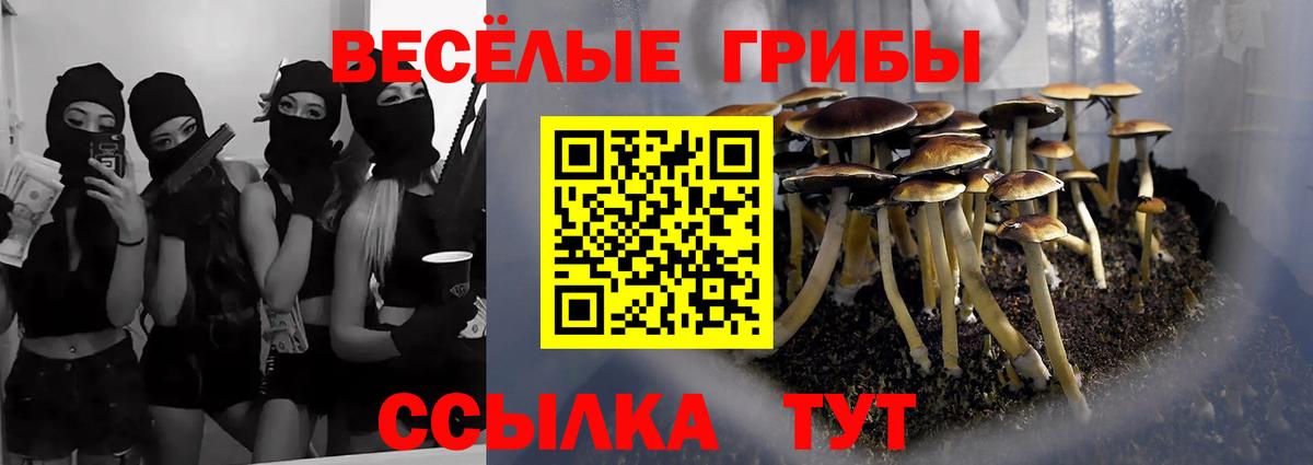Галлюциногенные грибы Psilocybine cubensis  Псилоцибиновые грибы Psilocybe  Джанкой  Вход с VPN 