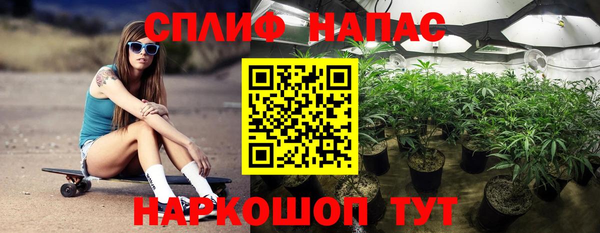 Шишки марихуана конопля Джанкой